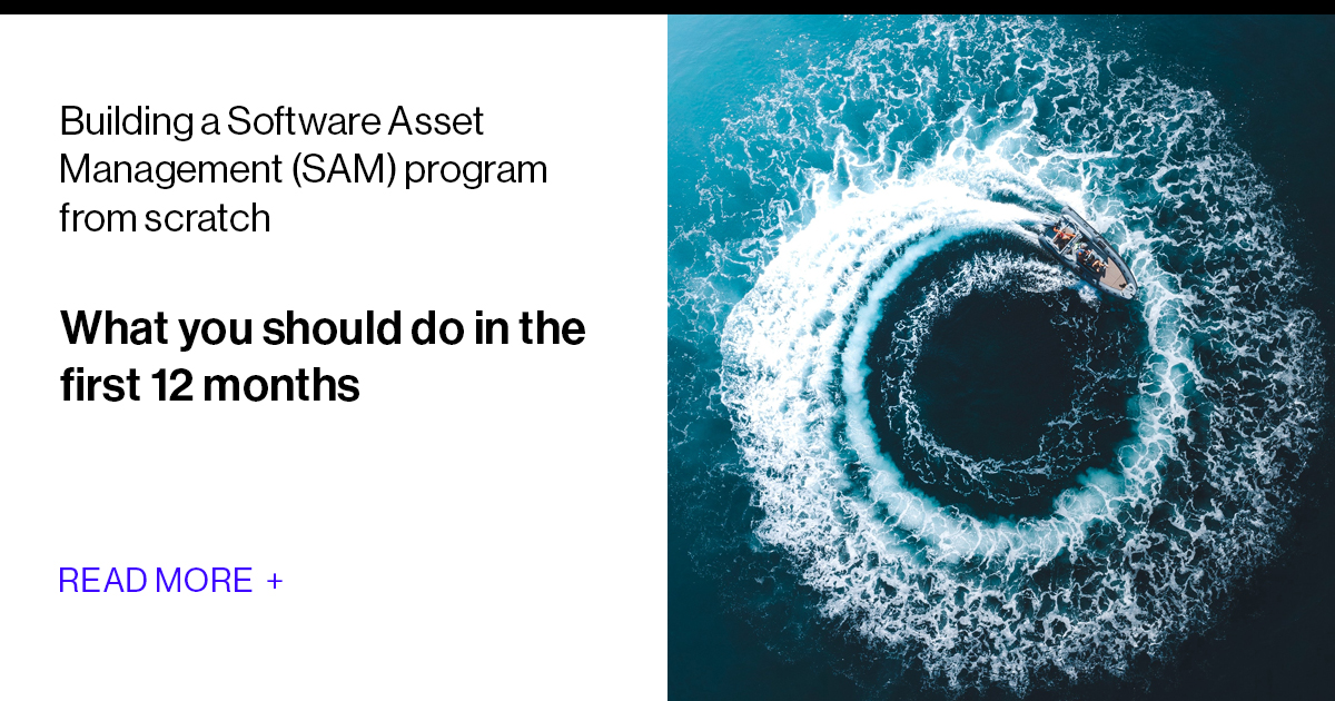 Building a SAM Program from Scratch in 12 Months |SoftwareOne Blog