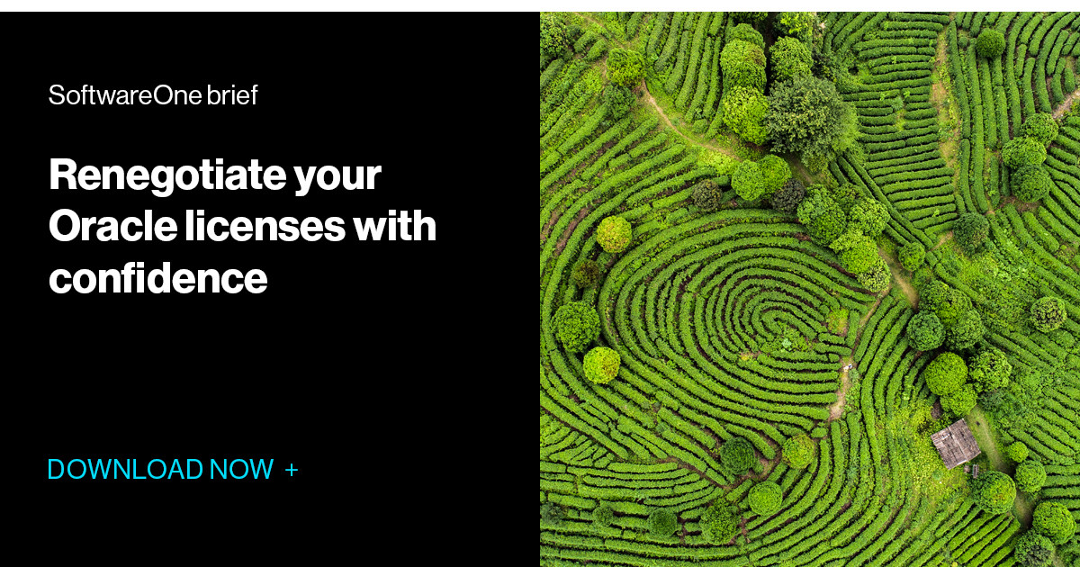 Oracle renegotiation strategies | SoftwareOne brief